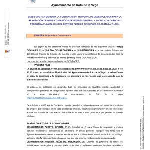 BASES CONVOCATORIA PROCESO DE SELECCIÓN PERSONAL LABORAL EVENTUAL CON CARGO AL PLANIEL